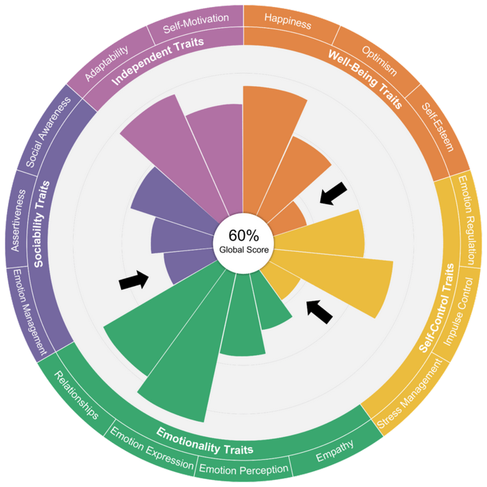 20231026128_emotional_intelligence_wagon_wheel.jpg
