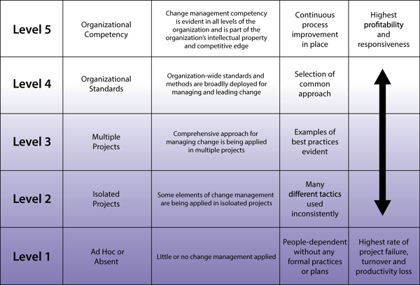 maturitymodel.png